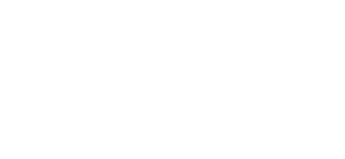 Bluebird Aviation